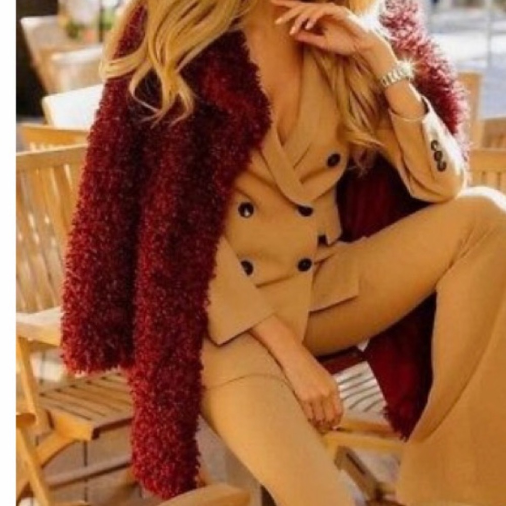 🎉HOST PICK🎉ZARA Soft Fur Coat - Picture 5 of 9